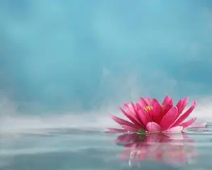 Ozonic - Premium Fragrance Oil