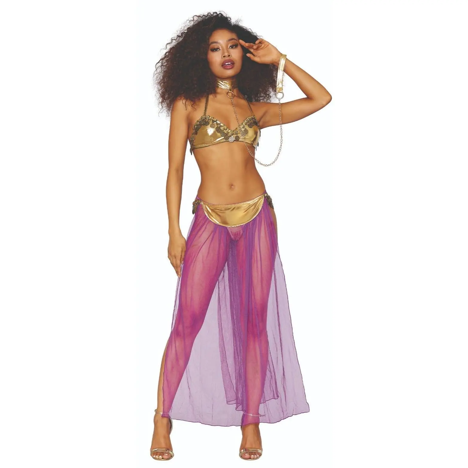 Desert Princess Fantasy Costume