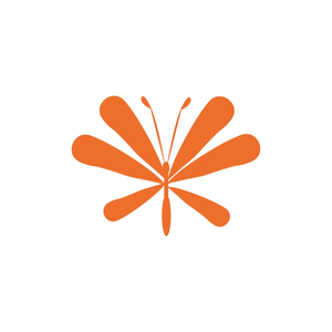 Hi Aurora Jewelry Store