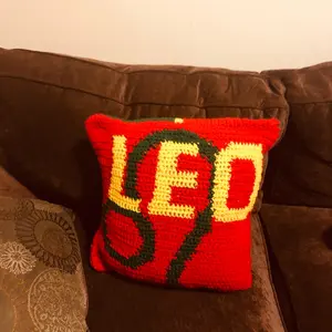 Crocheted zodiac  pillow