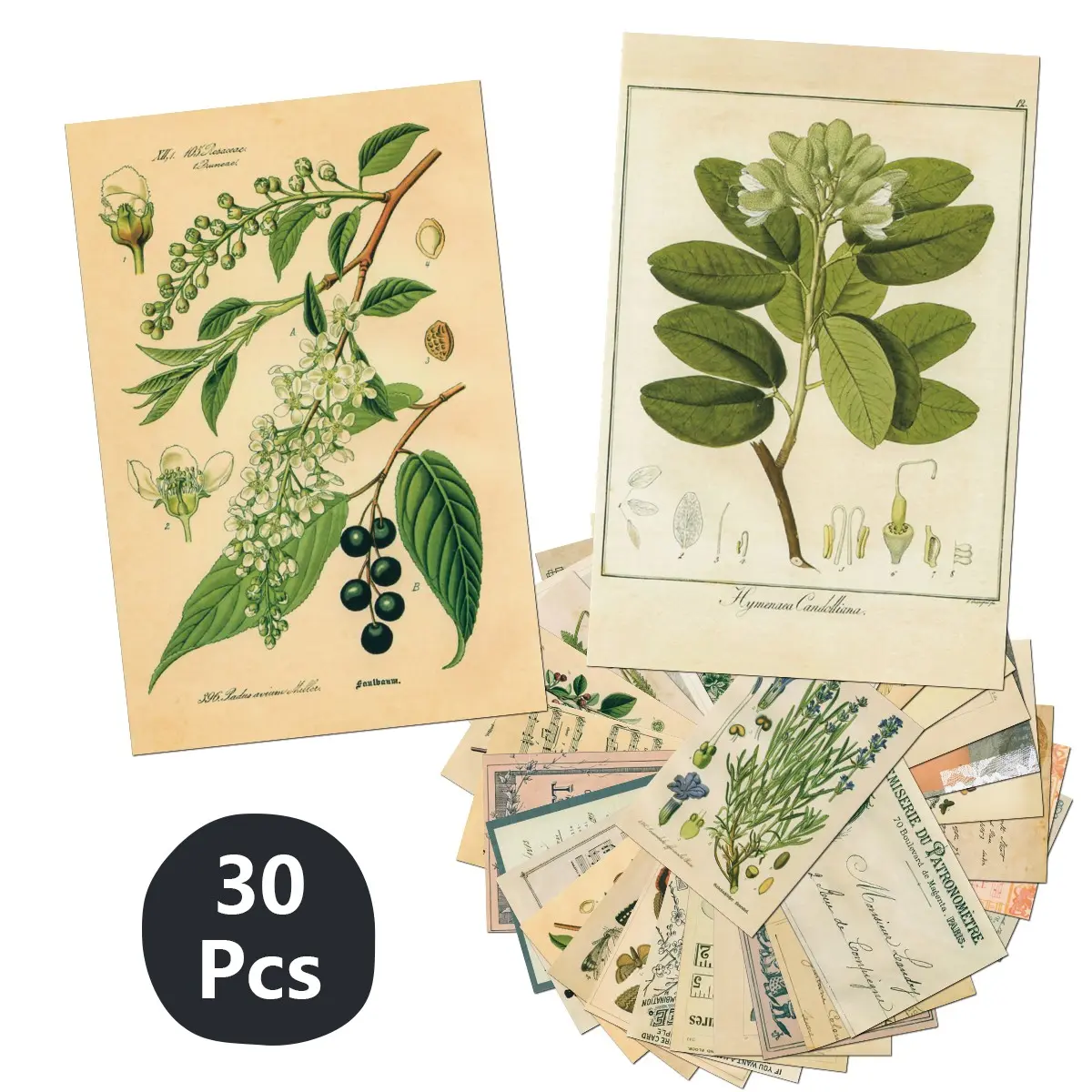 30 Piece Vintage Wall Collage Kit, Aesthetic Pictures, Floral Aesthetic Pattern, Retro Plant Room Decor, Bedroom Postcard, Cute Girl Dorm Photo Mosaic, Vintage Plant Wall Art, Vintage Letter Print, Aesthetic Design, Vintage Prints