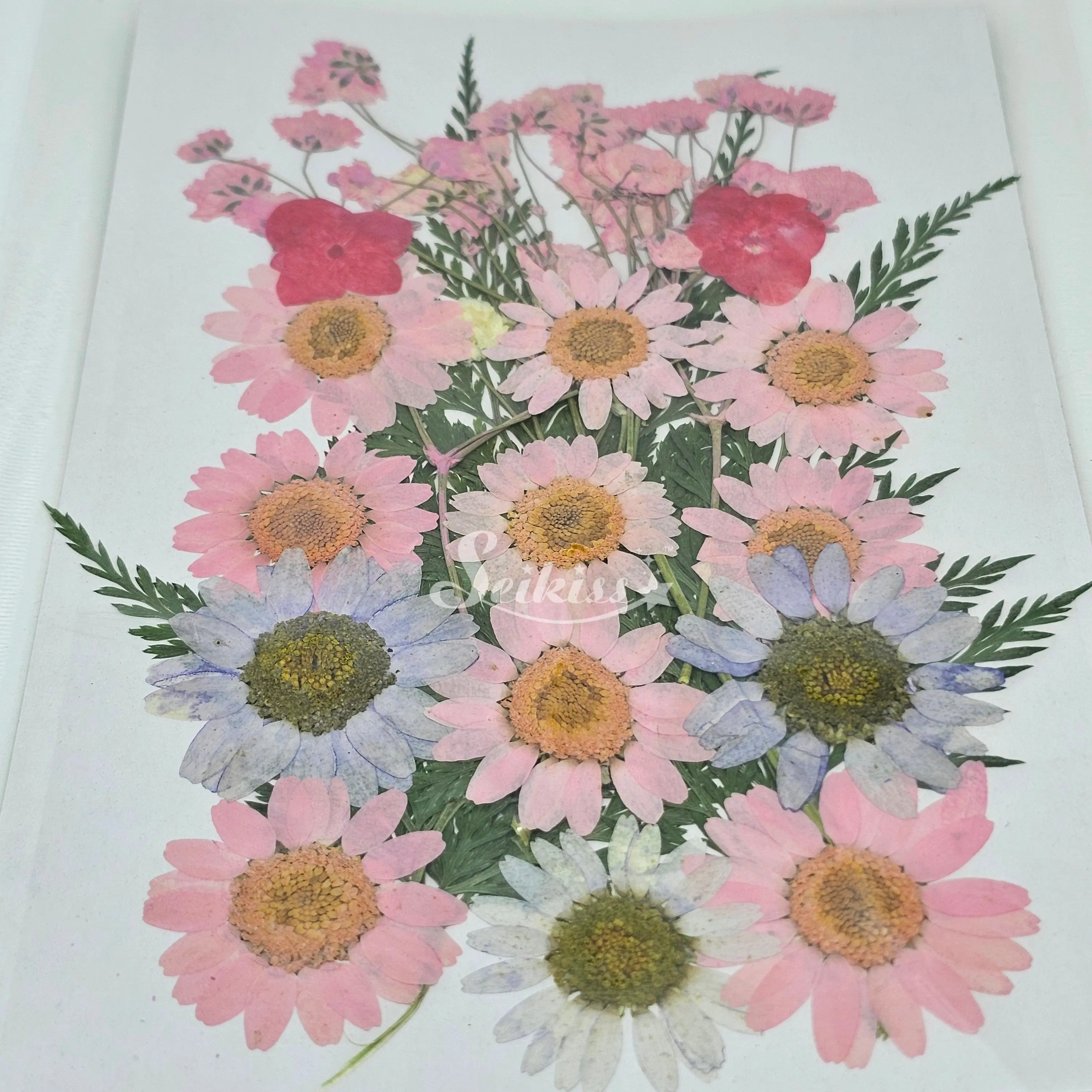 Dried flower set