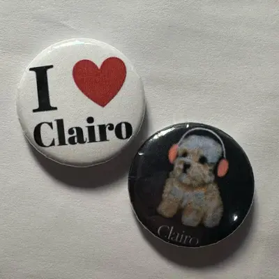 Clairo Charm Pin Set - TikTok Shop