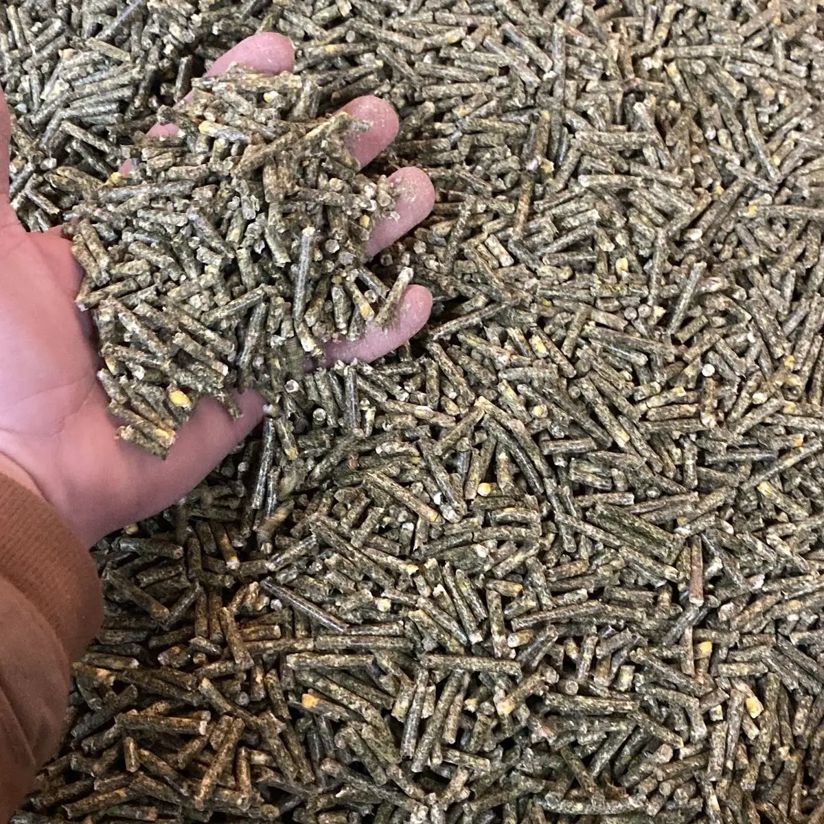 Peanut Hay Rabbit Feed 80% - 20% Corn for Nutritional Balance