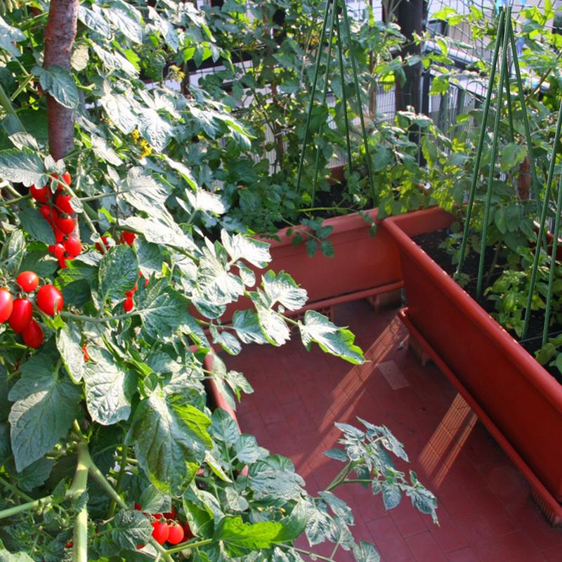 SUNNYGLADE 48" Plant Stakes Garden Tomato Sticks Durable Metal & Green Plastic Coated Supports for Potted Plants with Non-Slip Bump Design & Sharp Points for Easy Placement