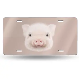 Little Cute Pig License Plate Front Car Decorative Novelty Auto Plate Car Tag Vanity Gift Metal Aluminum Plate for Women/Man 12x6 inch Wall Decor