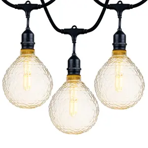 Festive Living T25 LED Filament Bulb String Light Set – 48FT, 24 Sockets – Warm White 2700K, Shatter-Resistant, Indoor/Outdoor Use