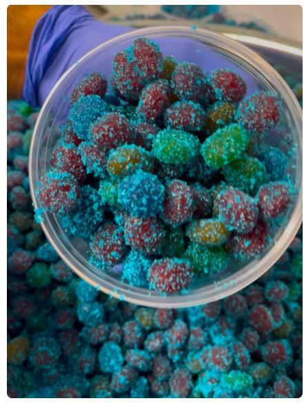 Blue Raspberry Gushies - Sweet and Tangy Candies - 6 oz Container - Candy t Gummies Combo Pack Chewy Gummies
