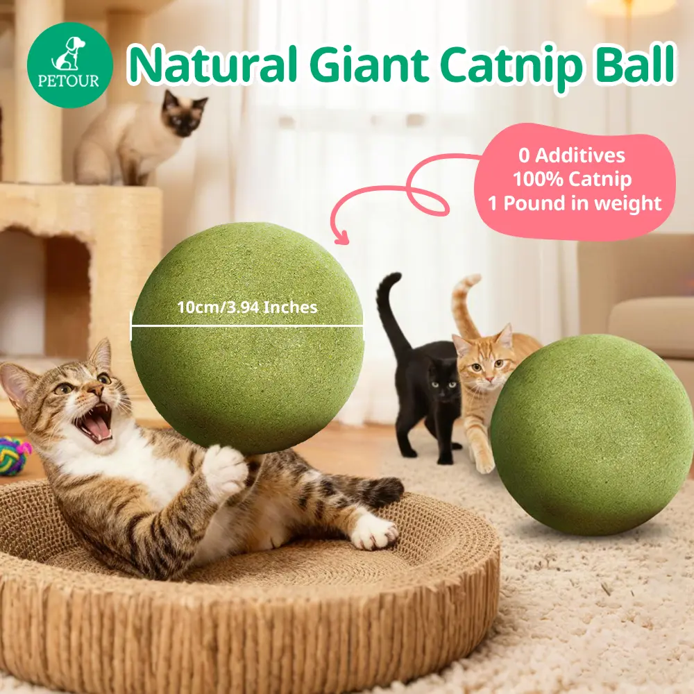 Petour 3.94 Inches Huge Catnip Ball for Indoor Cats, Giant Cat Toys for Kittens, Jumbo Cat Nip Balls, Big Teething Chew Toys, Kitty Teeth Cleaning Lick Dental Toys, Fun Cat Toys, Useful Cat Stuff for Your Cats