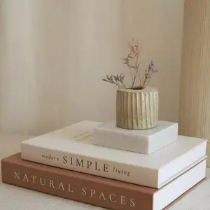 Set of 2 Paper Fake Books for Home Table Decor, Foldable Style, Assembly Required, Aesthetic Decoration, Coffee Table Book Decor, Novelty Desk Decor