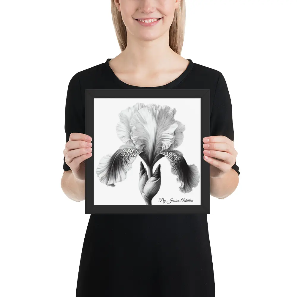 Artwork Print Framed Wildflower: Purple Iris (Iridaceae)