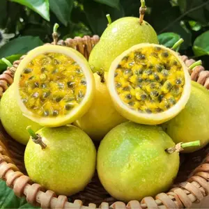 Passion Fruit Seeds for Planting – Non-GMO, Fast Growing Climbing Vine, Sweet Tropical Fruit, Year-Round Planting, Perfect Gift for Garden Lovers, Indoor & Outdoor