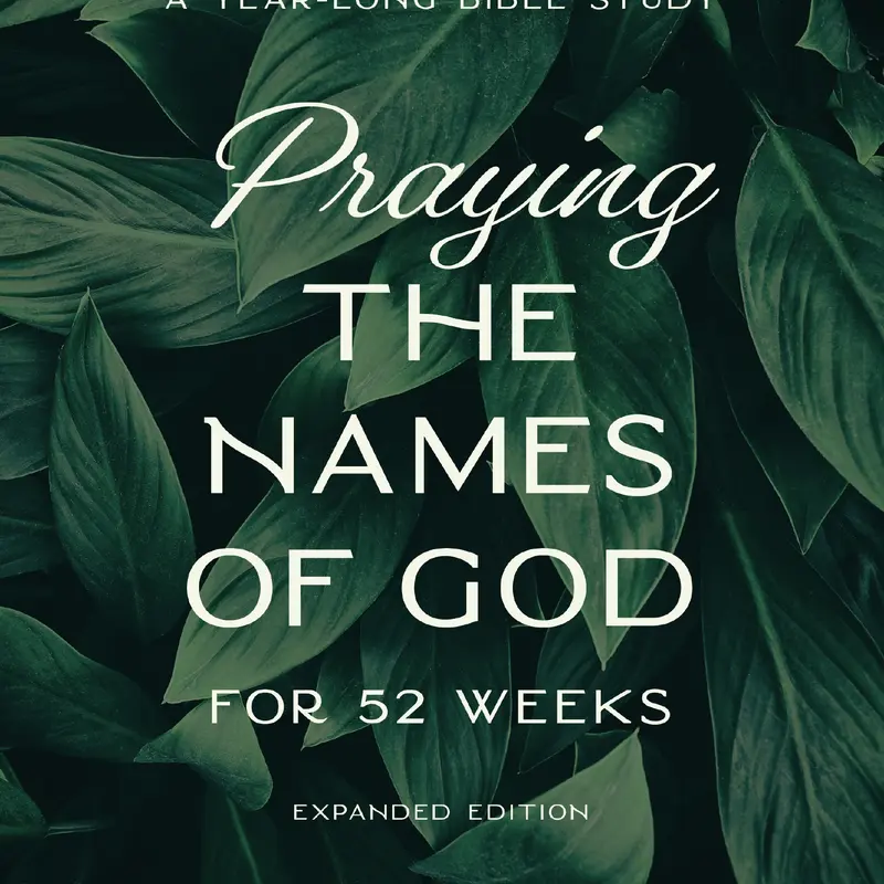Praying the Names of God for 52 Weeks, Expanded Edition: A Year-Long Bible Study by Ann Spangler [Paperback Book]