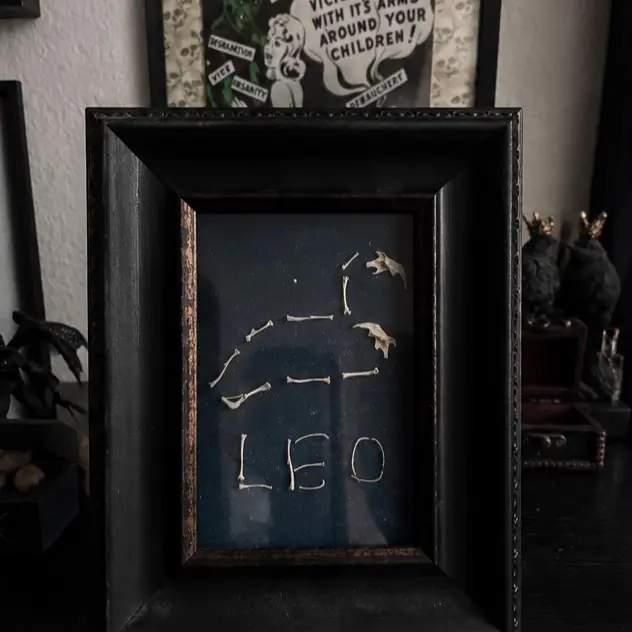 Handmade Leo Zodiac Constellation Framed Wall Art Print - 1-Piece Artwork, Gothic Oddities Home Decor, Perfect Gift for Collectors & Dark Academia Fans