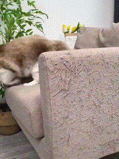 Pet Luxury Store™ - Multifunctional Cat Scratching Carpet