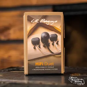 L.R. Baggs HiFi Duet