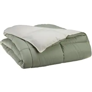 All Season Down Alternative Reversible Comforter Twin/Twin XL-Ivory/Sage