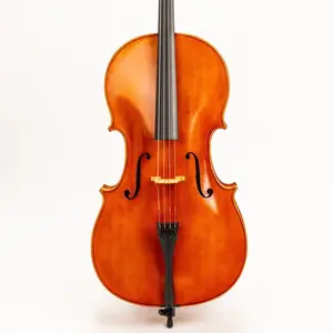 D Z Strad Cello - Model 250 - Cello Outfit w/ Case & Bow (1/8-4/4)