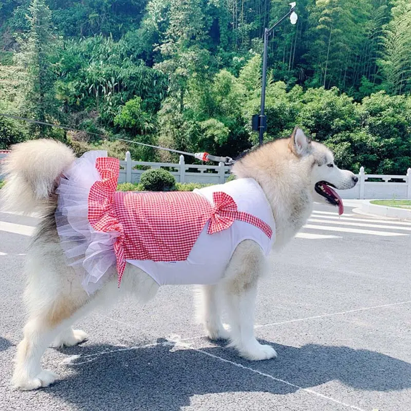Dog Clothes Princess Dog Costume Labrador Golden Retriever Big Dog Clothes  for Cold Weather, Windproof Warm Dog Garments