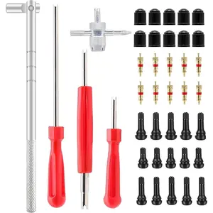 Valve Stem Puller Installer Tool, 5Pcs TR412, 5Pcs TR413, 5Pcs TR414 Tire Snap in Short Rubber Valve Stem, 4 Way Valve Core Remover, Single Head Tire Valve Core Remover Installer Tool(40Pcs)