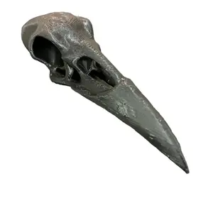 Raven skull decoration