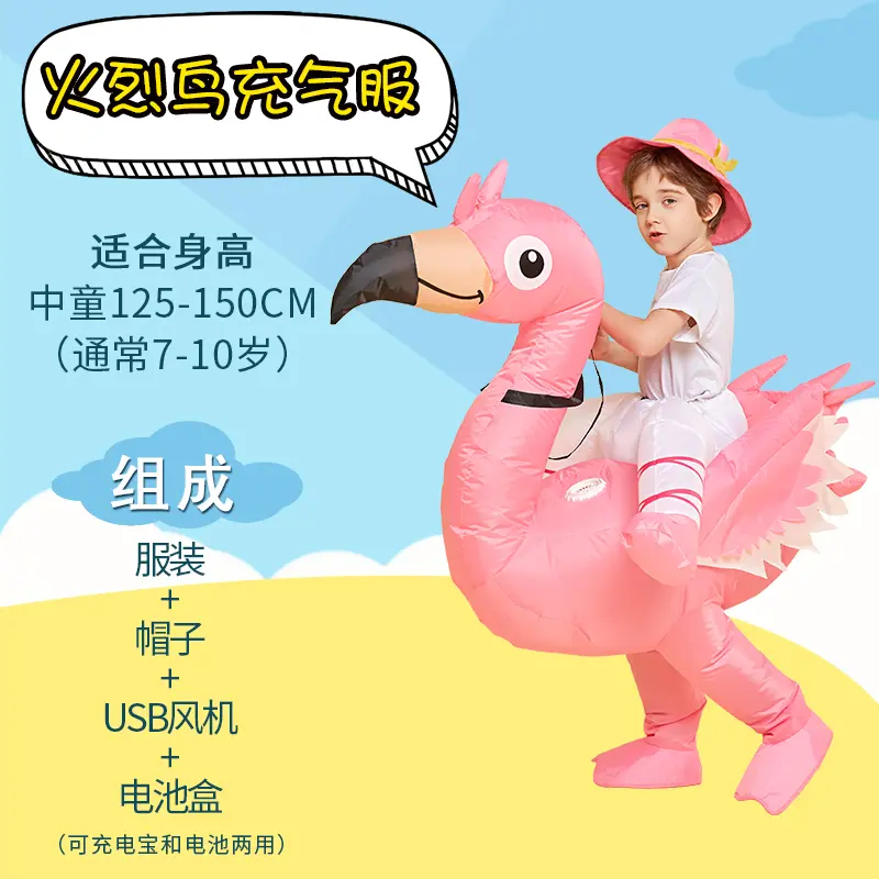 Flamingo   Middle aged Child