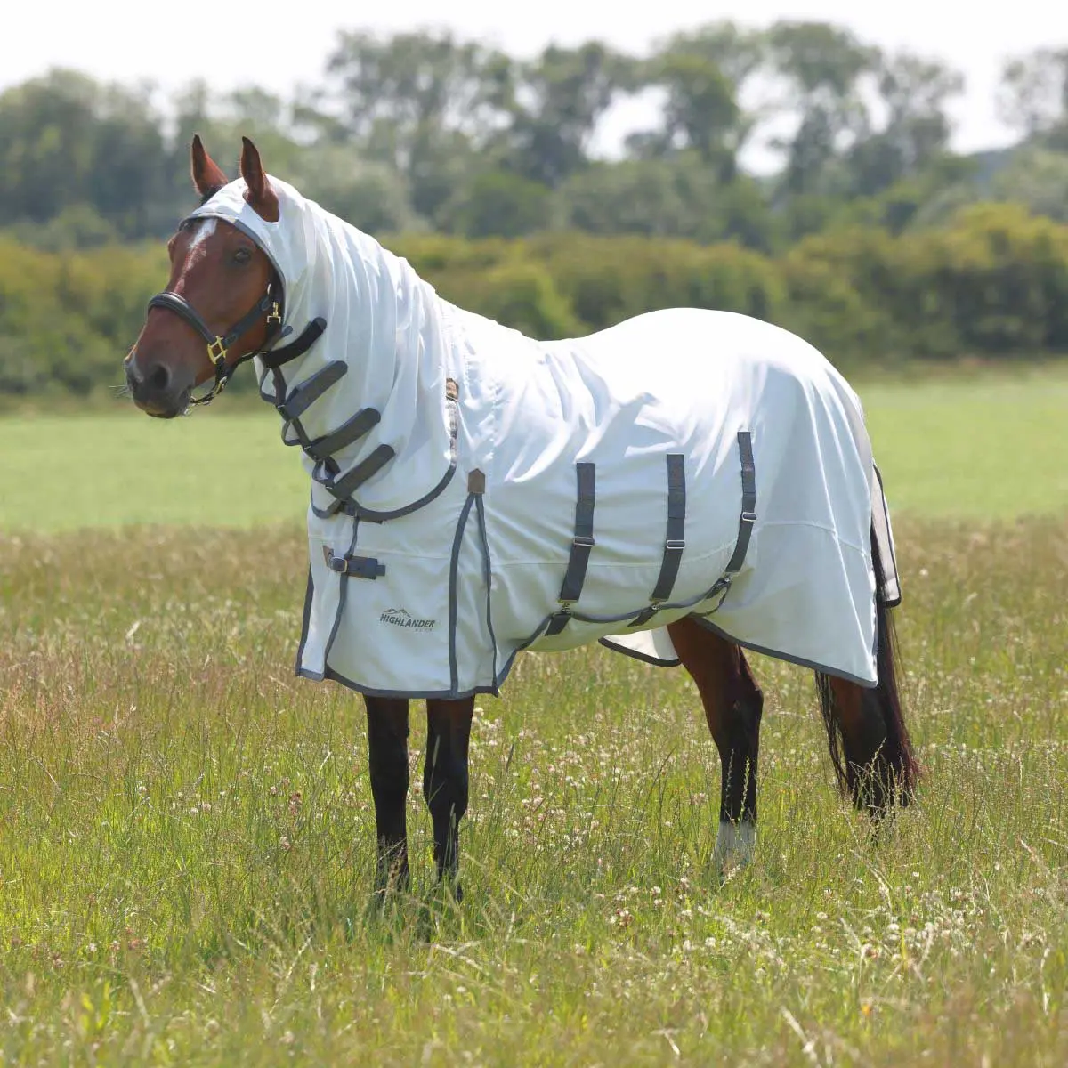 Highlander Plus Sweet-Itch Combo Horse Fly Sheet, 600 Denier