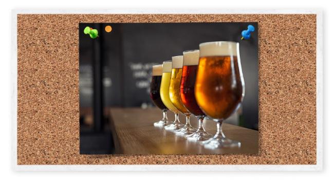 Triple Scale Hydrometer