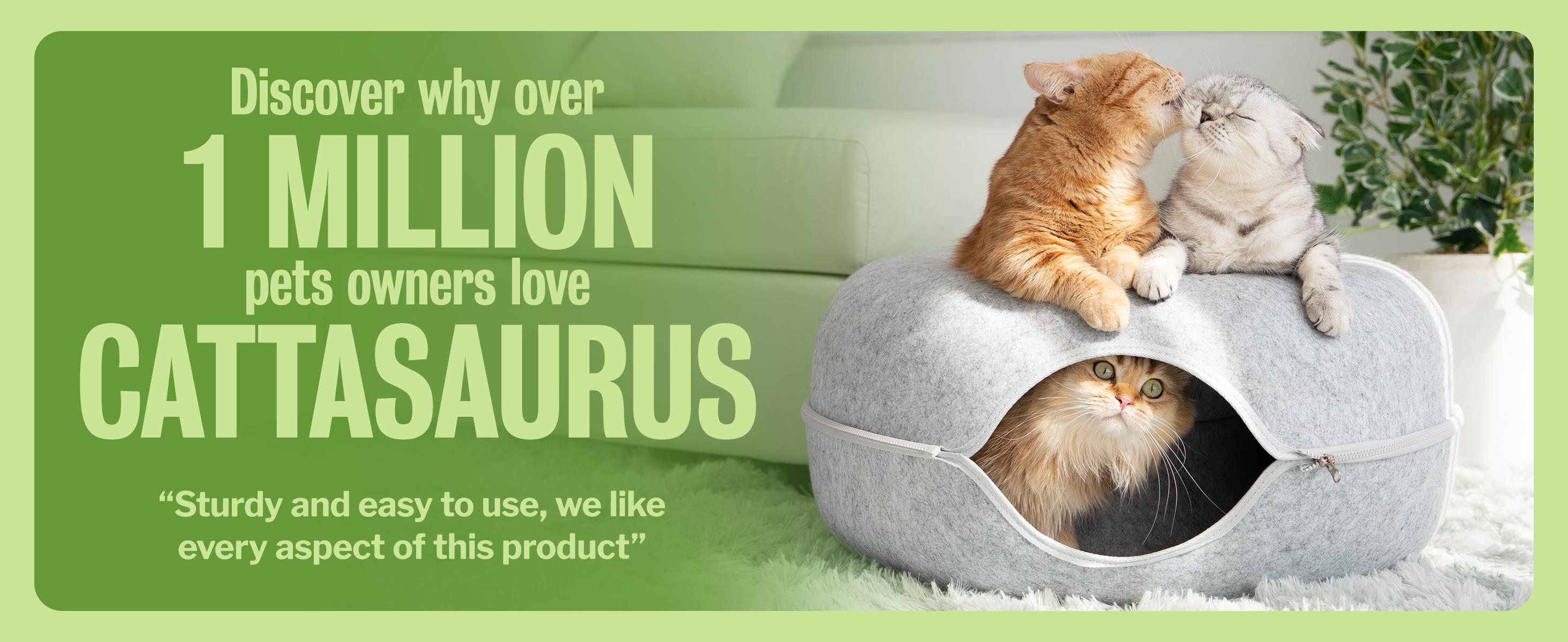 CATTASAURUS Peekaboo Cat Cave for Multiple & Large Cats Up to 30-45 Lbs, Scratch Detachable & Washable Tunnel Bed, Comfy Donut Cat Cave