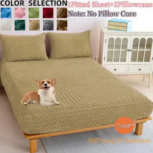 Pure Color Turtle Velvet Bedding Set, Skin-Friendly Breathable Anti-Wrinkle, Full/king/queen Size, Perfect Fit for Bedroom