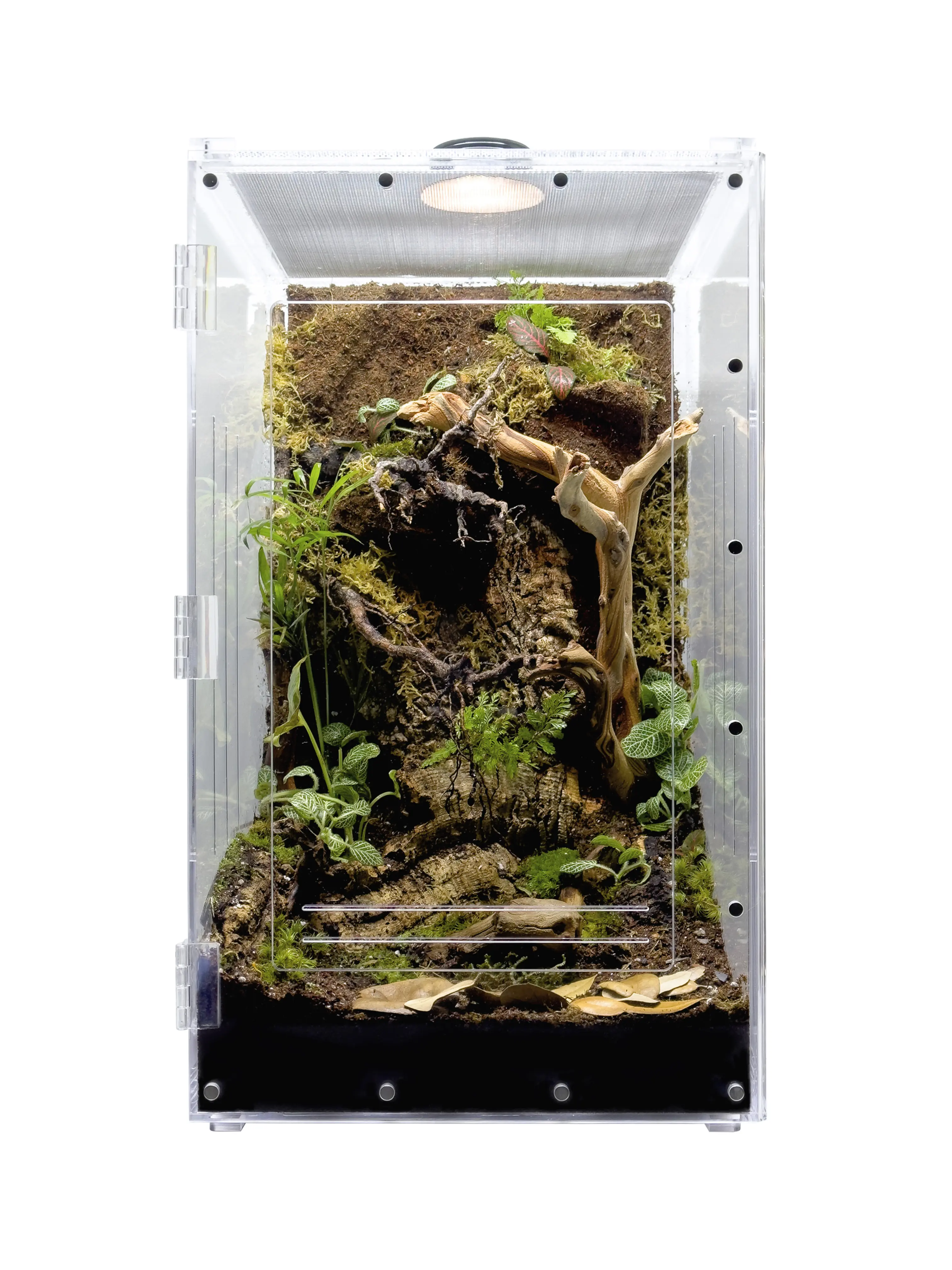 HerpCult Acrylic Front-Opening Enclosure - XLarge
