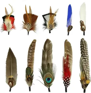 10Pcs Hat Feathers, Natural Feathers Peacock Feathers for Hats, Colorful Feathers Pin Cowboy Hat Feather for Western Cowboy Hats Christmas Party Hats, Feathers Accessories DIY Decorations (10 Style)
