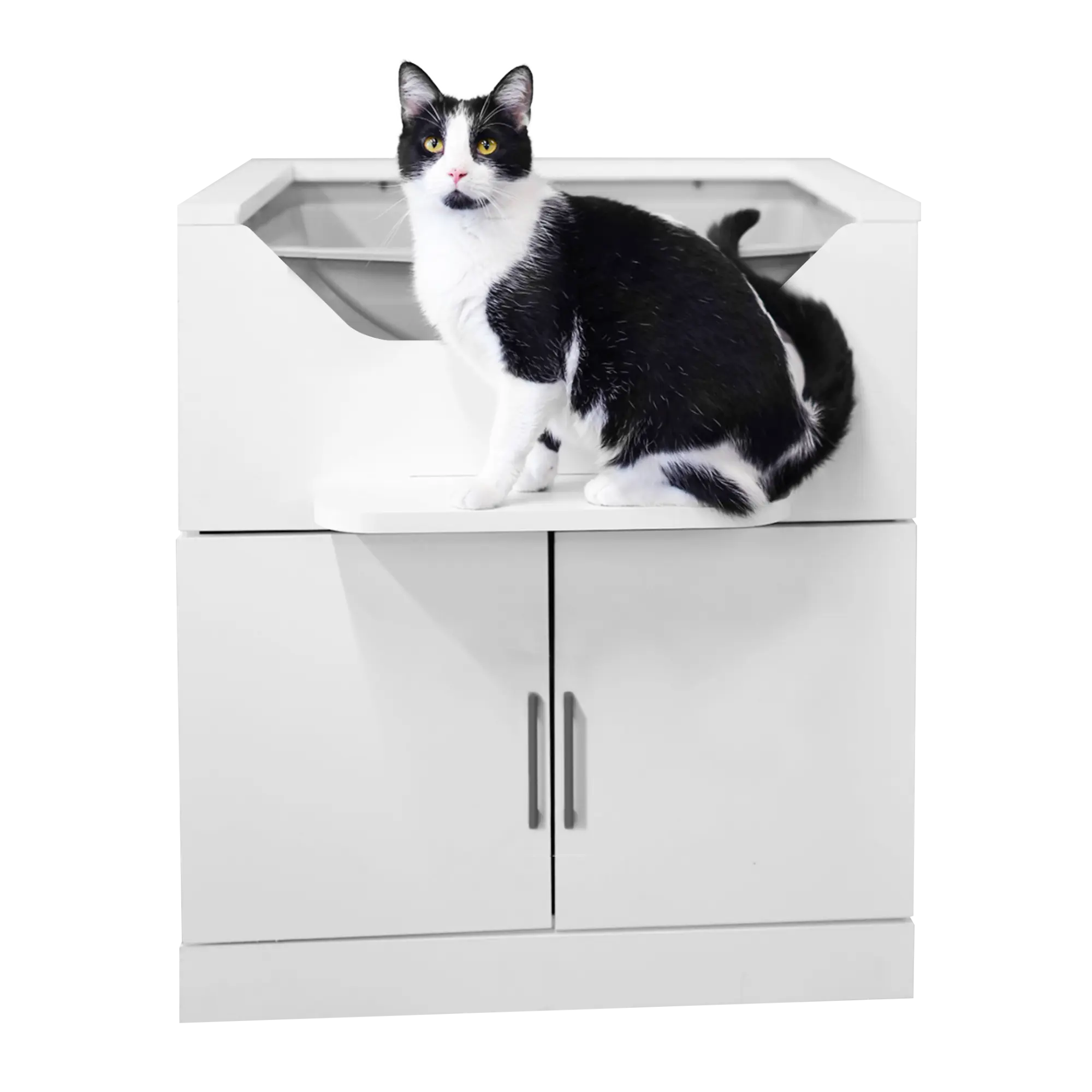 LoftyLoo Cat Litter Box: Elevated for Easy Cleaning!