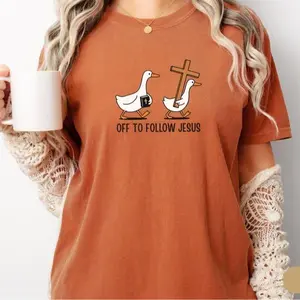 Comfort Colors Christianity Shirt, Silly Goose T-Shirt, Funny Christian Tee, Jesus Christ Shirt, Youth Group Gift, Catholic Teen Confirmation Gift
