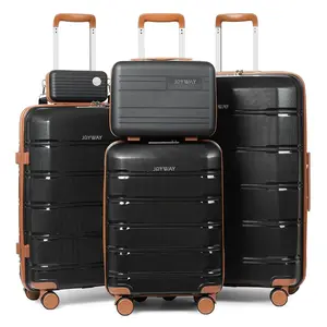 5 Piece Luggage Set, Hard Shell Lightweight Durable Travel Suitcase, TSA Lock, Silent Spinner Wheels, Portable Small Storage Box