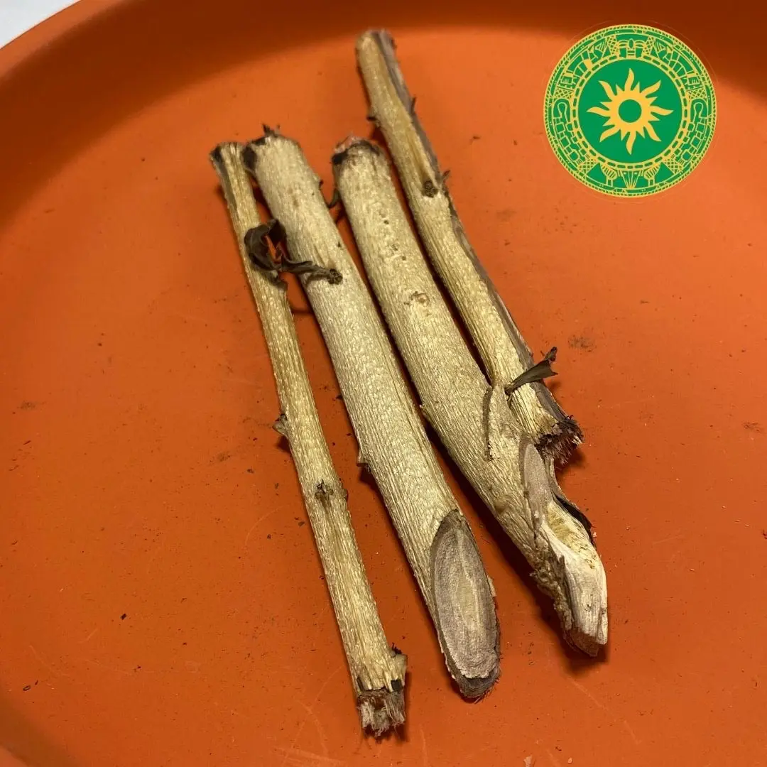 Palo Guira 5.5" | Palo Espiritual Natural para Uso Tradicional | Inshe Miami