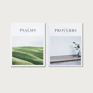 Alabaster Wisdom Pairing: Psalms & Proverbs - Hardcover christian books bible