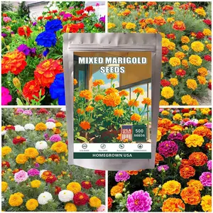 500 Mixed Marigold Seeds for Planting -  Marigold Seeds French Marigold Non-GMO Heirloom Garden Flower to Plant Open Pollinated Annual Flowers