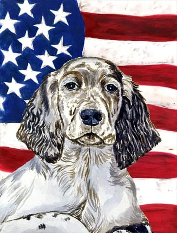 11 x 15 in. USA American Flag with English Setter Garden Size Flag