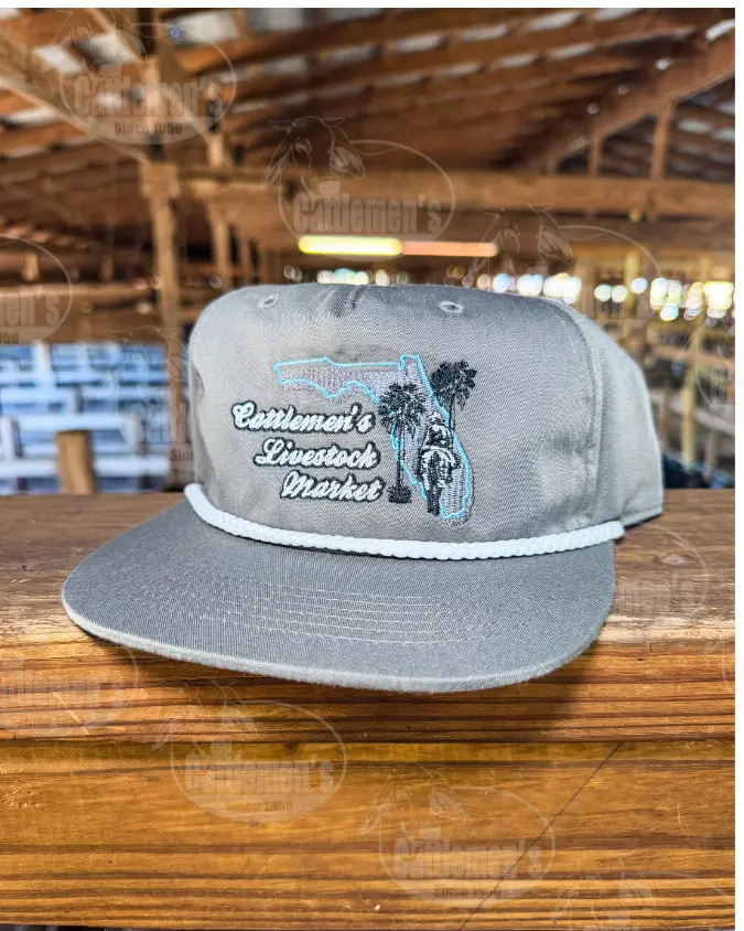 Highest Bid Lot 4 gray - Limited Edition CLM Hat (Copy)