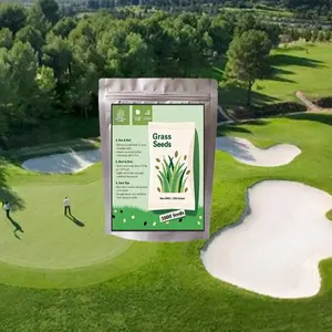 3000pcs Zoysia Grass Seeds – Lawn, Zoysia grass – Dense, Grass Seed Shade & Drought Tolerant, Low Maintenance – Best Zoysia Grass Seeds for Lawn