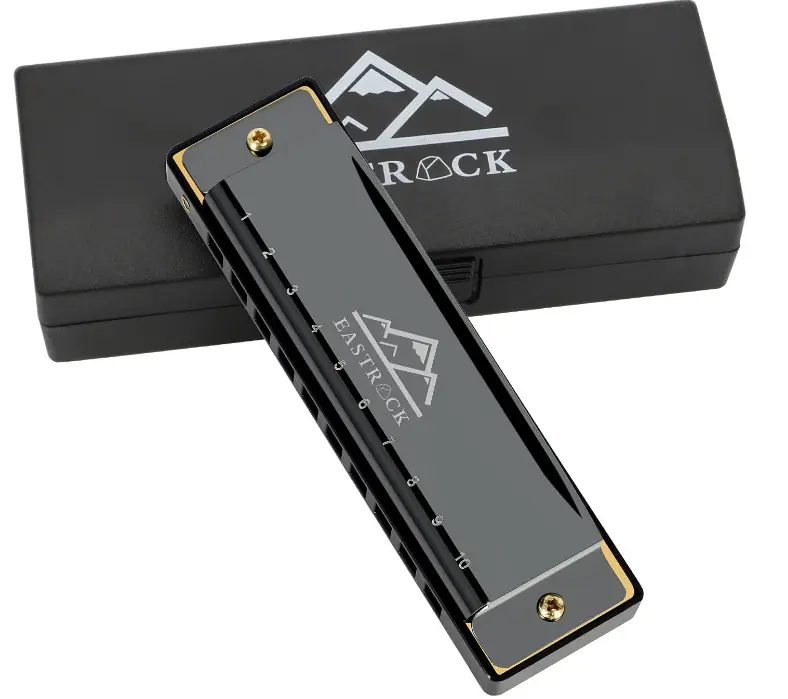 EastRock 10 Hole Blues Harmonica C Key Black with Case for Adults Beginner | Diatonic Mouth Organ Phosphor Bronze Reeds and Metal Cover Plate for Professional Students Adult Friends Gift