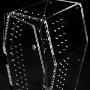 Coffin Crib- Hinged. V1