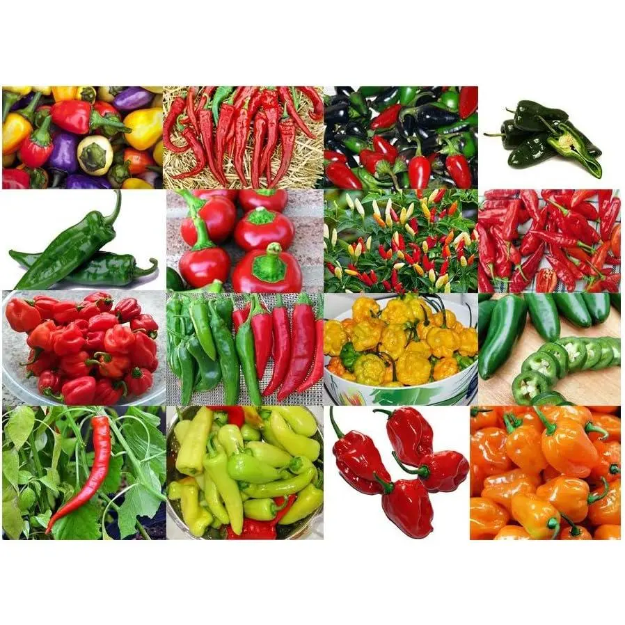 30+ Hot Pepper Seeds Variety Mix, 16 Heirloom Pepper Varieties, Non-GMO Capsicum annuum Seeds with Habanero, Tabasco, Jalapeño, Scotch Bonnet & More