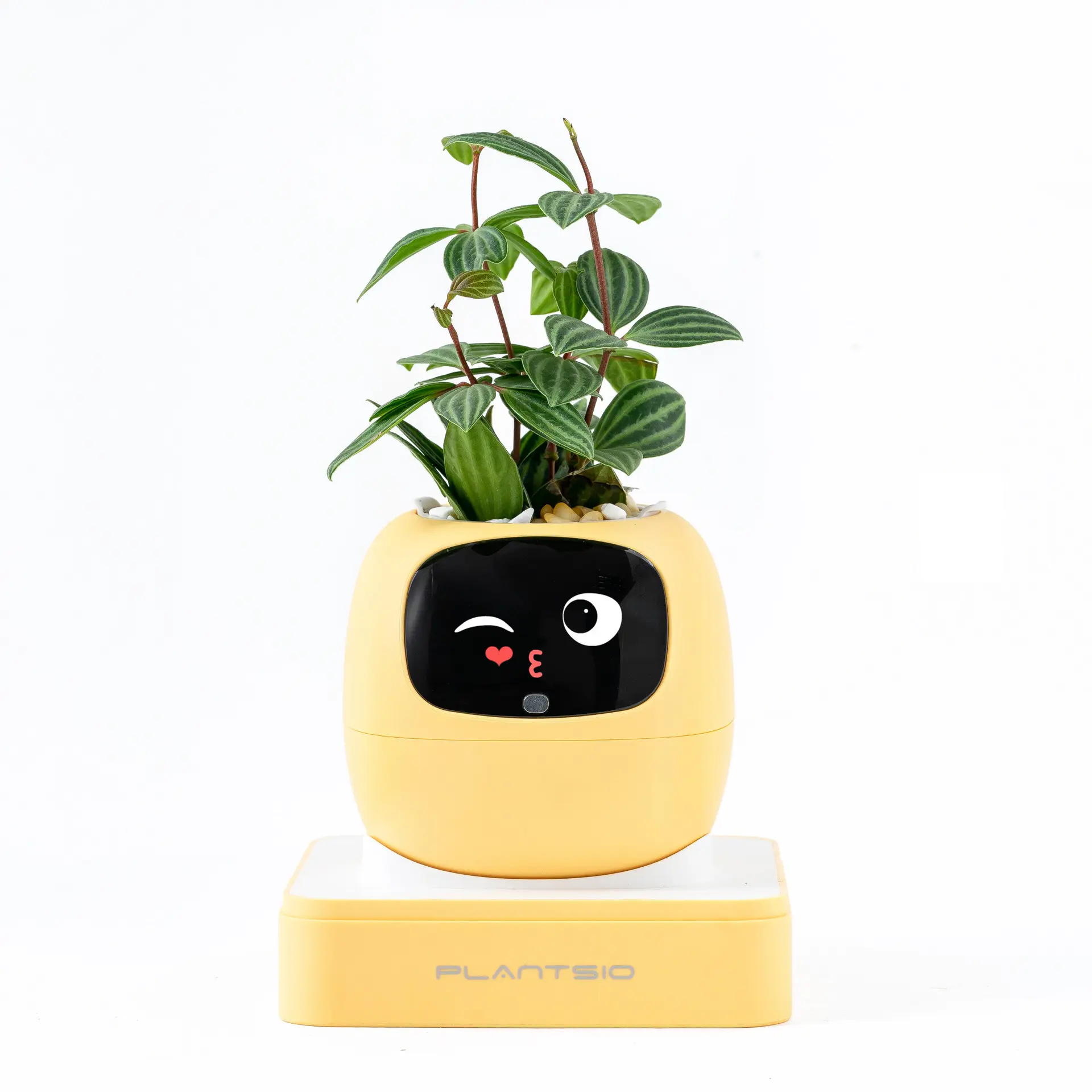 Smart flowerpot with WiFi app control, intelligent automatic pet-emulation mood robot flowerpot