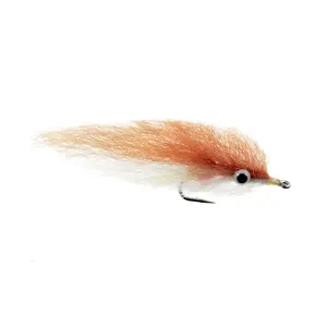 Bronze Mullet Bronze Mullet