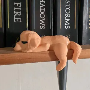 Sleeping Golden Retriever Bookshelf Decor - 3d printed - Fantasy Decor Lightweight