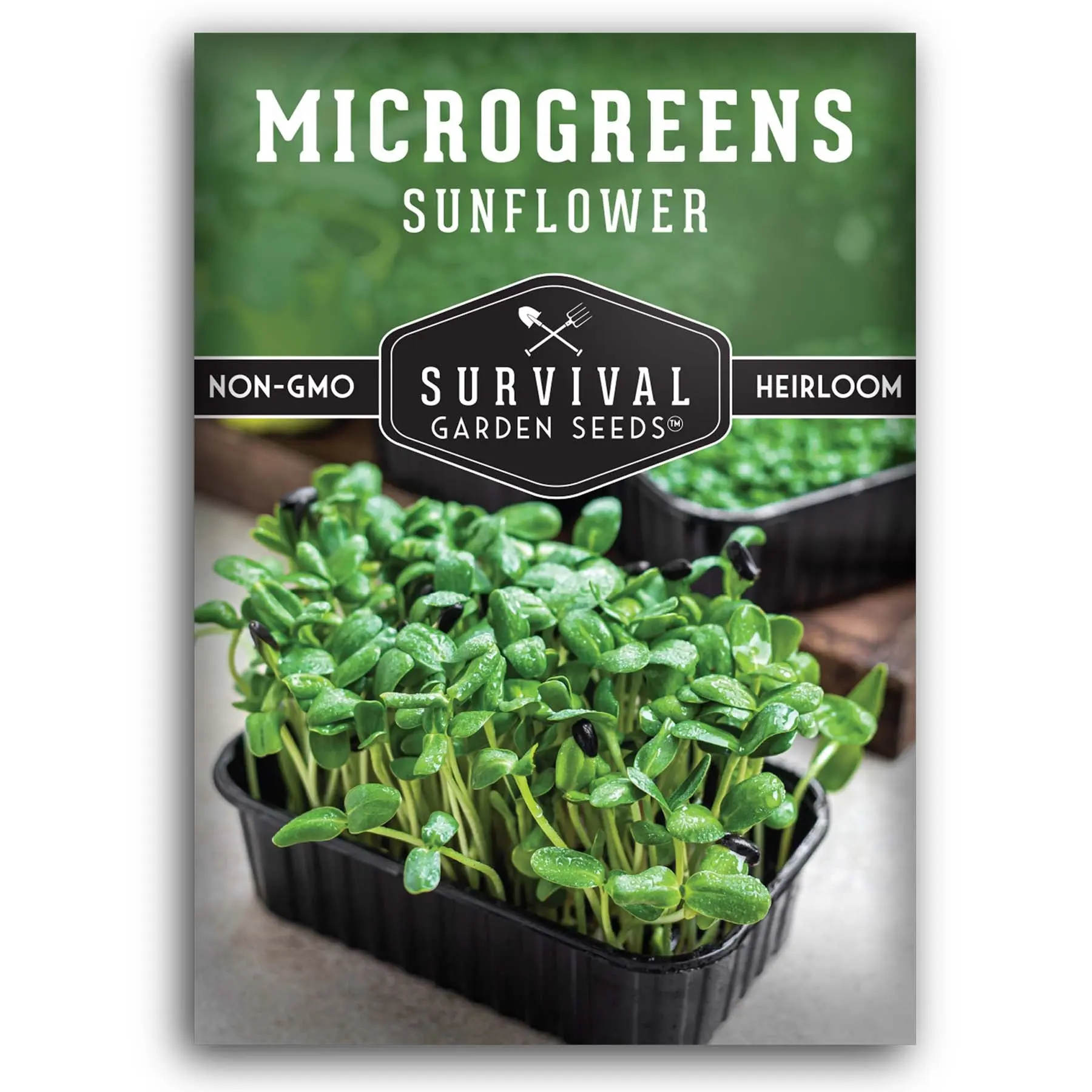 Sunflower Microgreens Seeds Sunflower Microgreens Seeds
