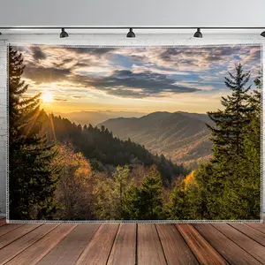 Forest Mountain Tapestry Sunshine Backdrop Nature Landscape Theme Wall Hanging Photography Background Aesthetic Decor for Living Room Bedroom Indoor Outdoor Home Decoration