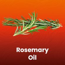 Arctic Beauty Liquid Batana Oil (5 oz.) - with Rosemary, Castor, & Pumpkin Seed Oil - 100% Pure and Unrefined Honduran Oil - Natural Haircare